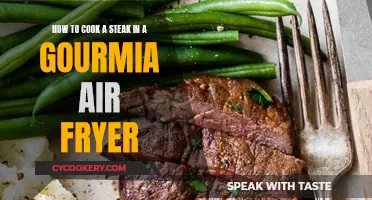 Air Fryer Steak: Cooking with Gourmia