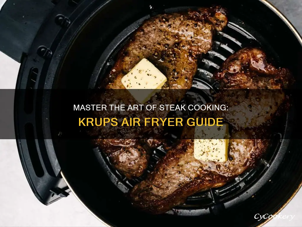 how to cook a steak in a krups air fryer