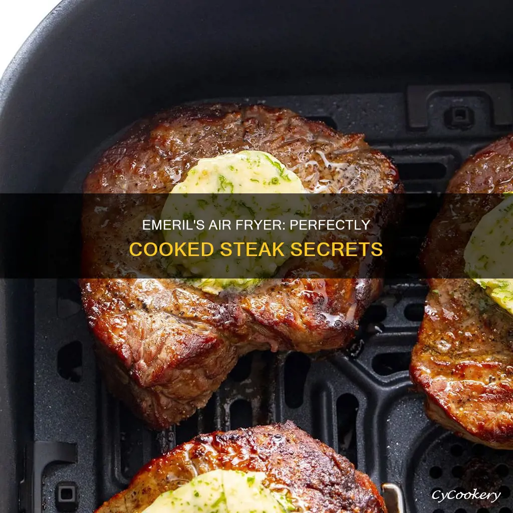 how to cook a steak in emeril air fryer