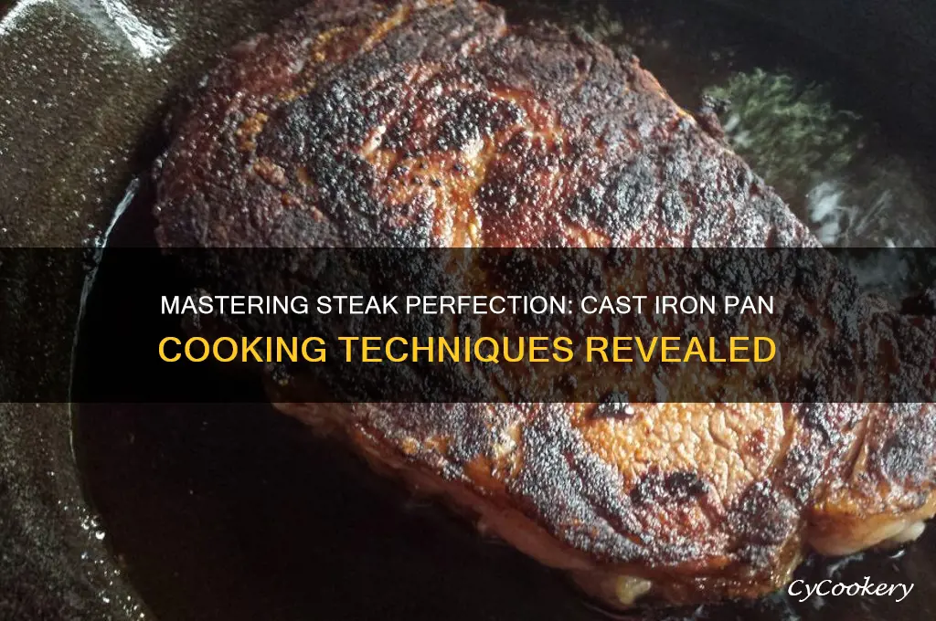 how to cook a steak using a cast iron pan