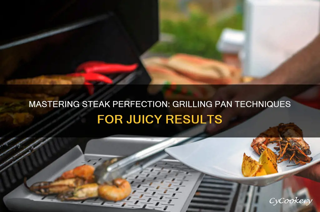 how to cook a steak using a gril pan