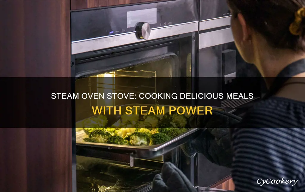 how to cook a steam oven stove