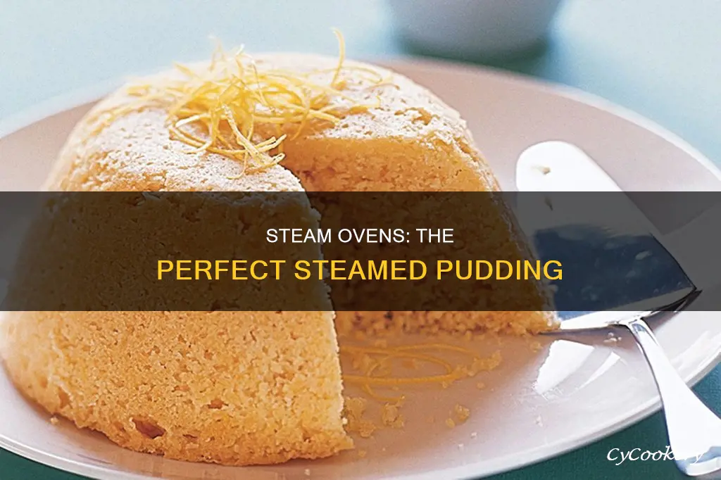 how to cook a steamed pudding in a steam oven