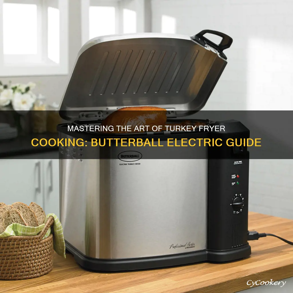 how to cook a turkey butterball electric turkey fryer