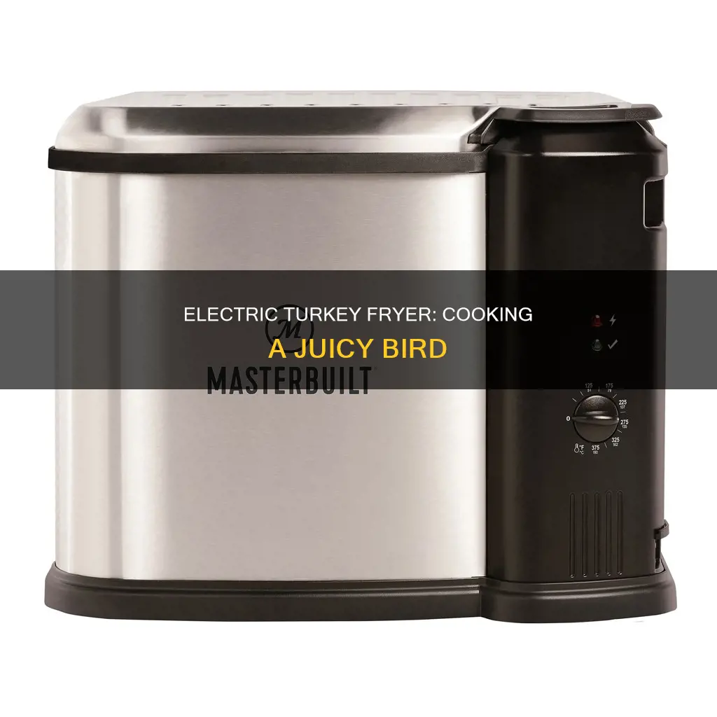 how to cook a turkey in a electric turkey fryer