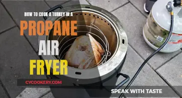 Master the Art of Roasting: Cooking Turkey in a Propane Air Fryer