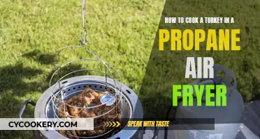 Propane Air Fryer Turkey: A Quick, Easy Feast