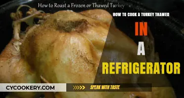 From Frozen to Feast: Thawing and Cooking the Perfect Turkey