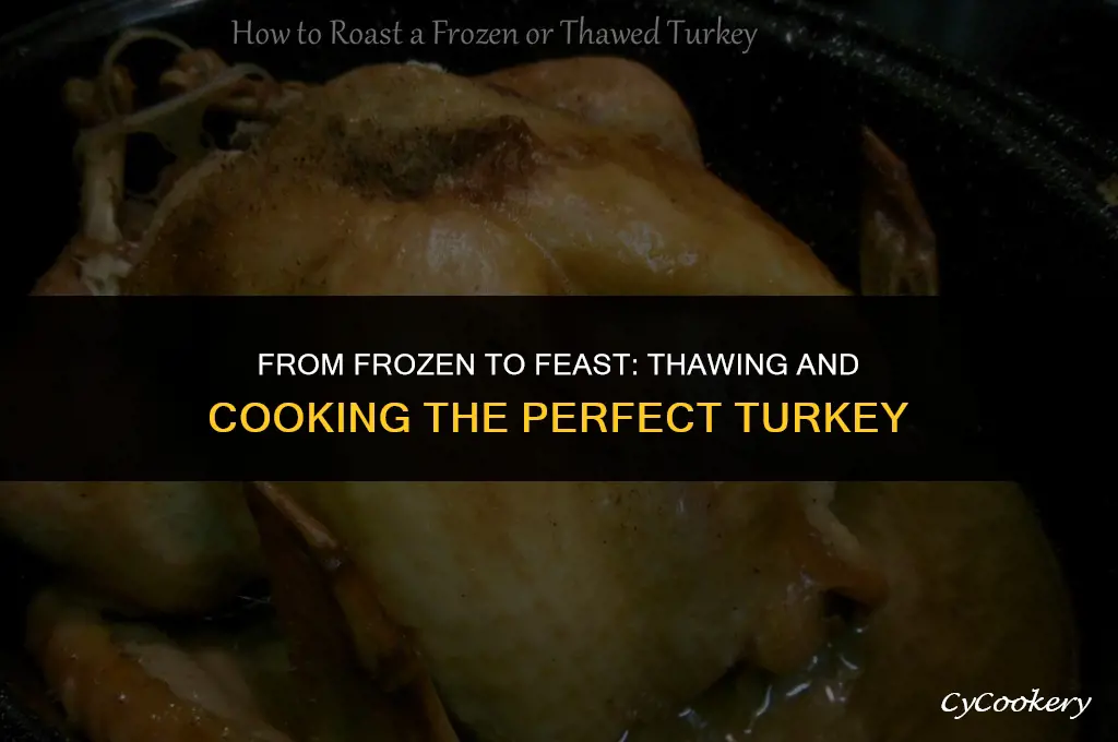 how to cook a turkey thawed in a refrigerator