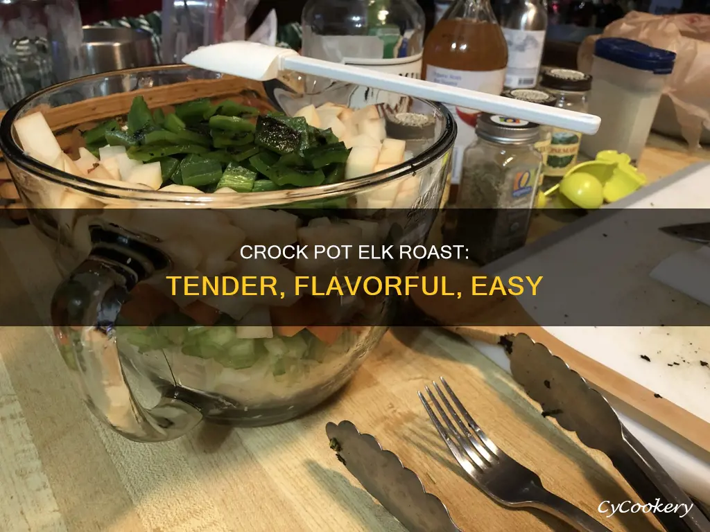 how to cook an elk roast in a crock pot