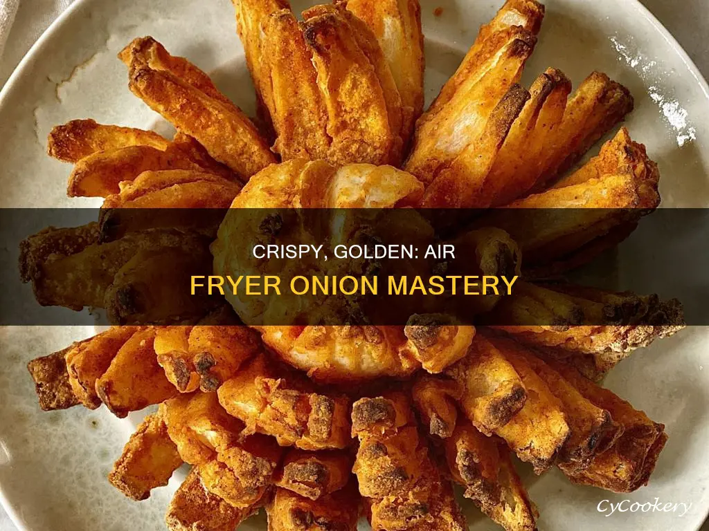 how to cook an onion in an air fryer