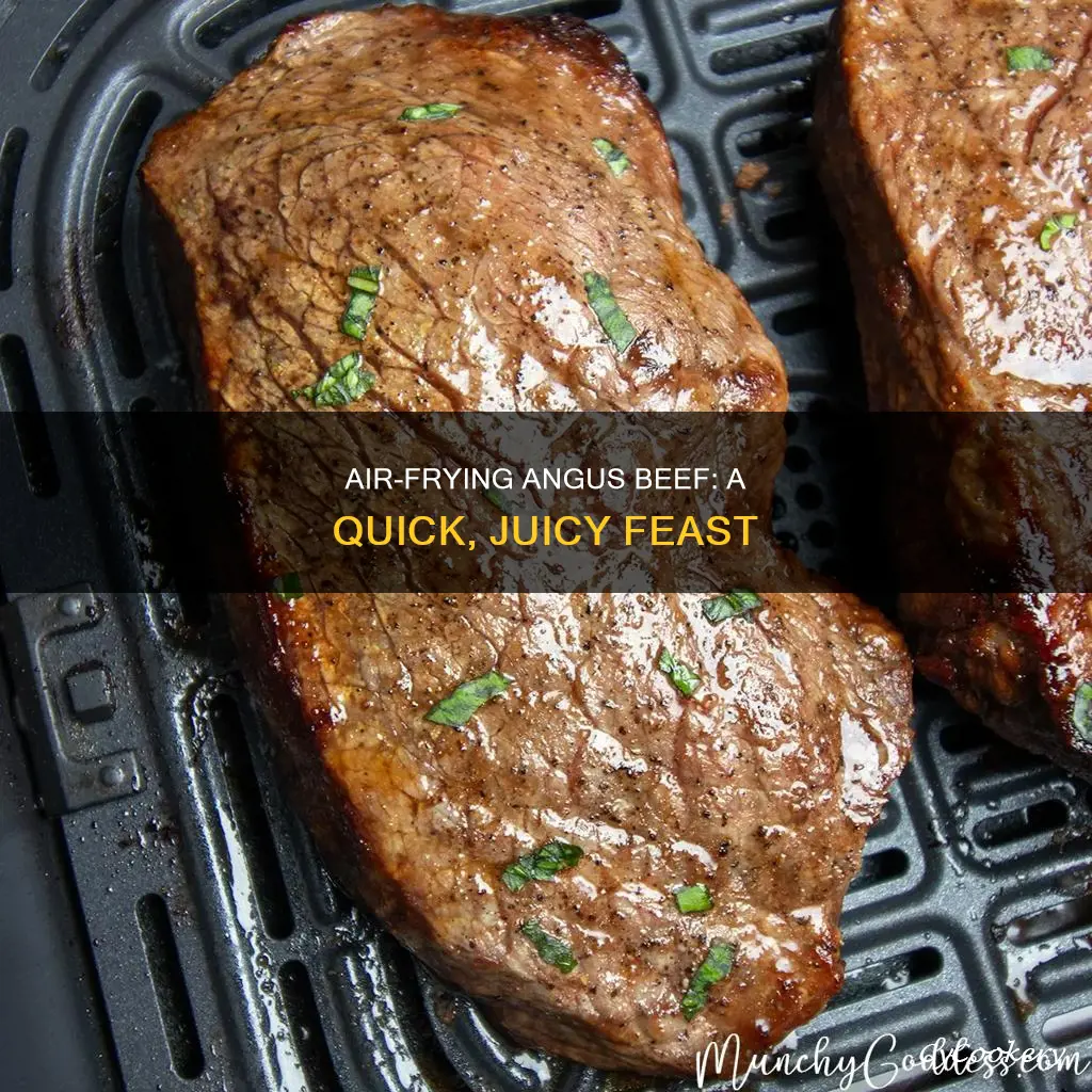 how to cook angus beef in air fryer