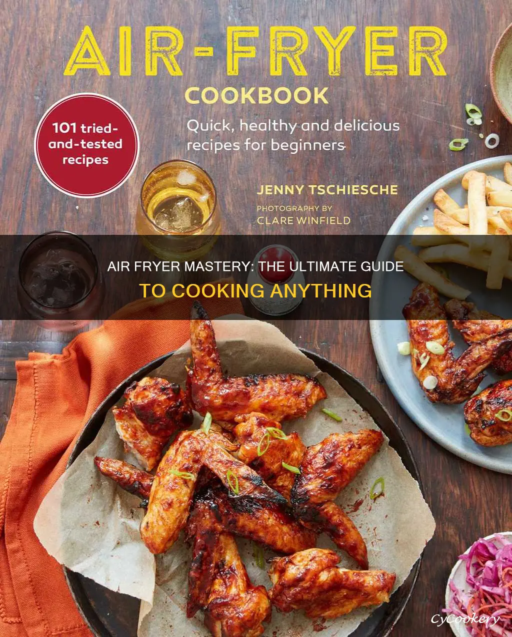 how to cook anything in an air fryer book