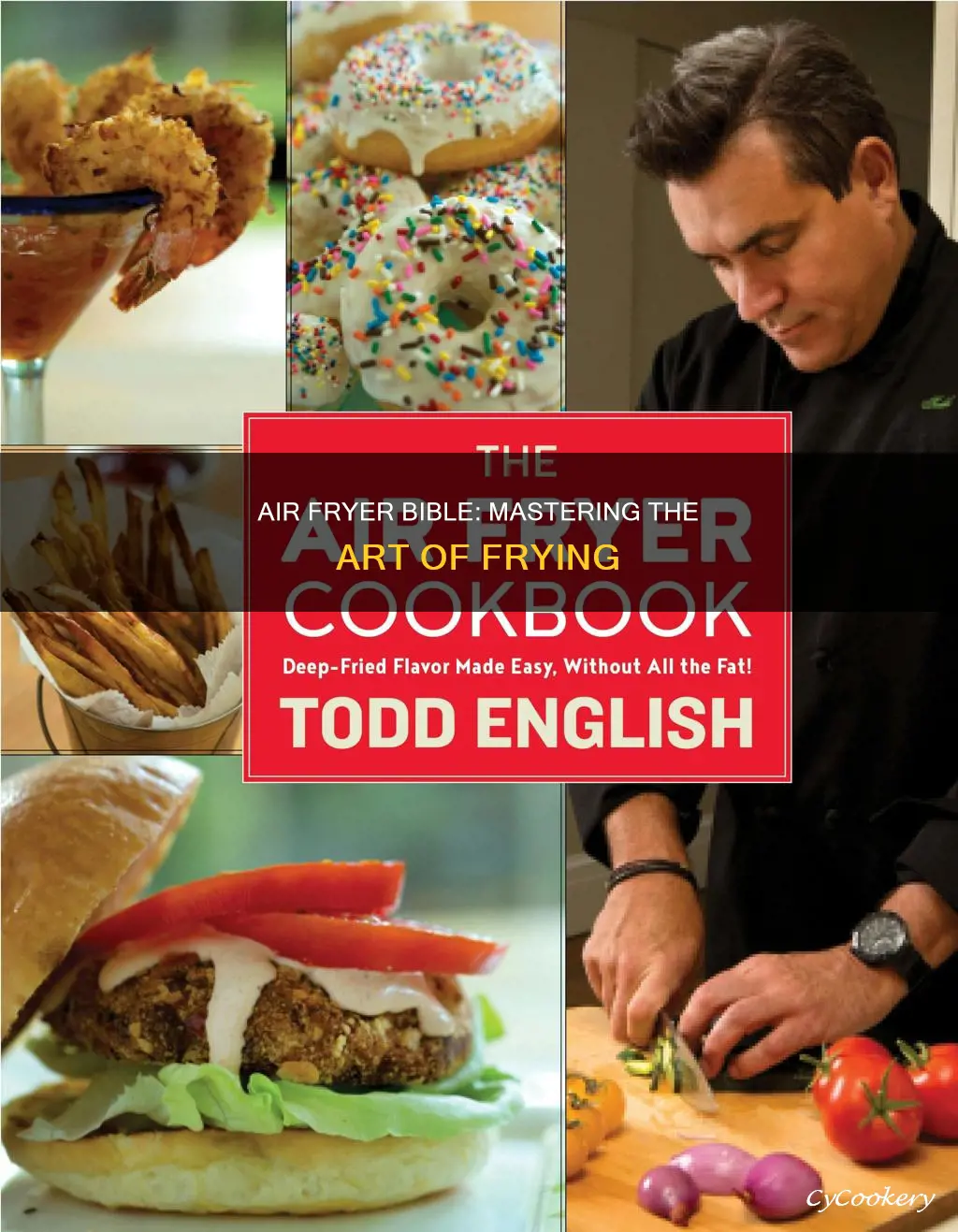 how to cook anything in an air fryer book