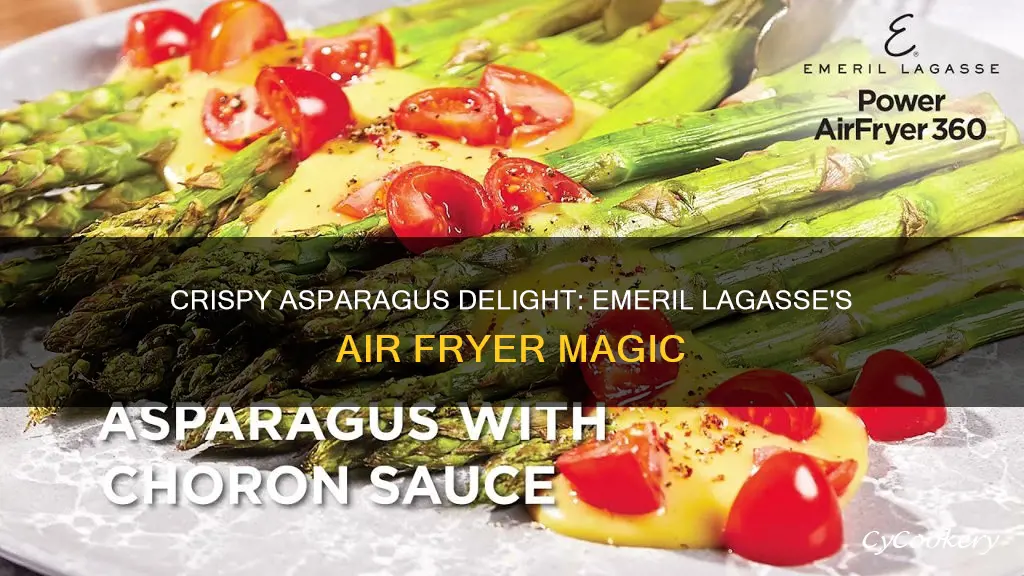 how to cook asparagus in emeril lagasse air fryer