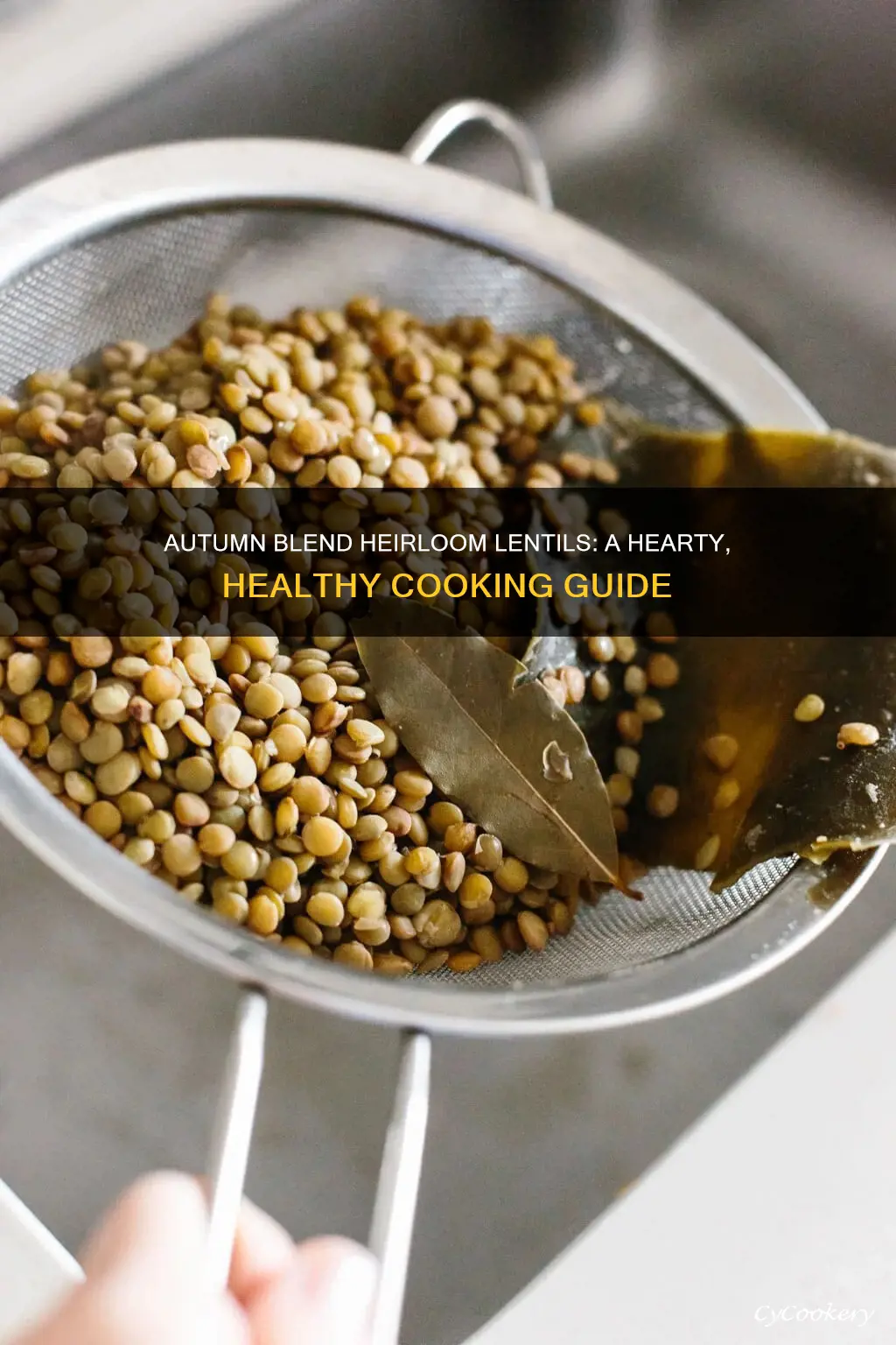 how to cook autumn blend heirloom lentils