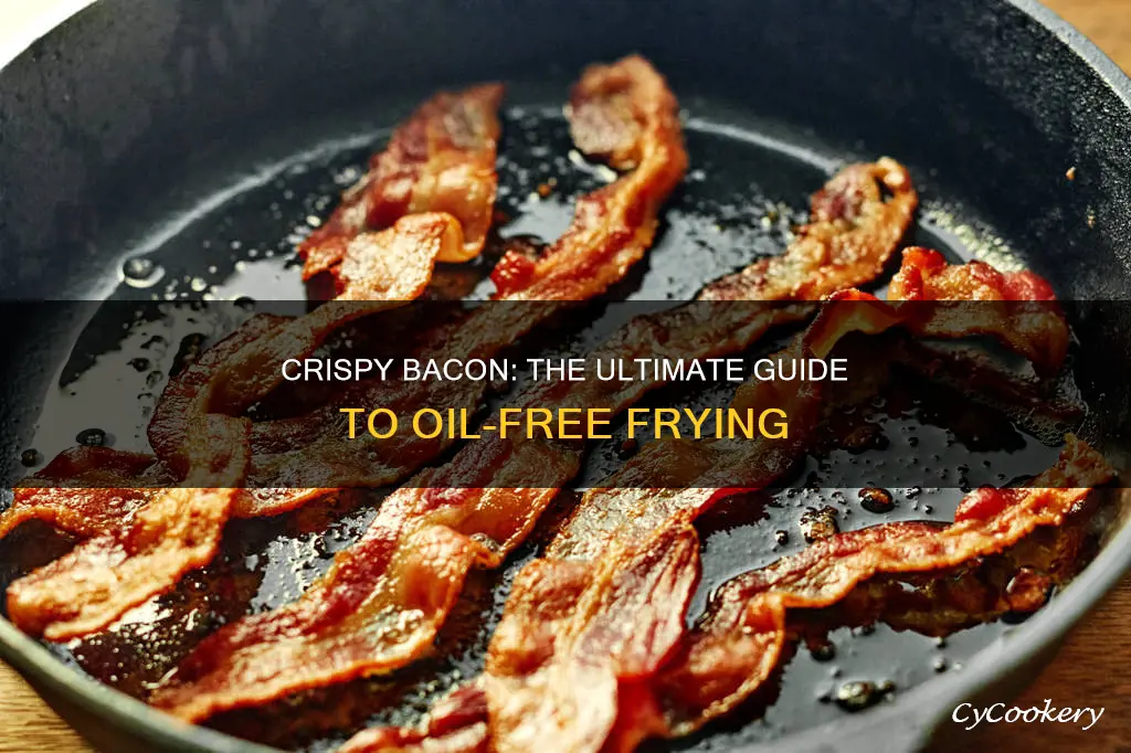 how to cook bacon in oil less fryer