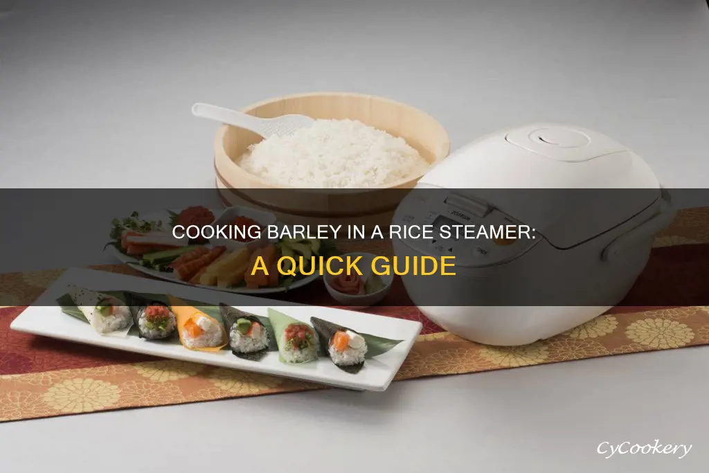 how to cook barley in a rice steamer