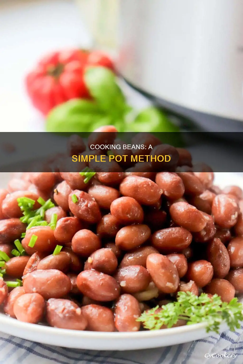 how to cook beans in a pot