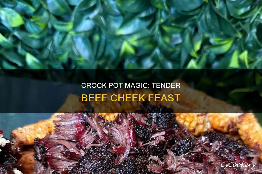 how to cook beef cheek meat in crock pot