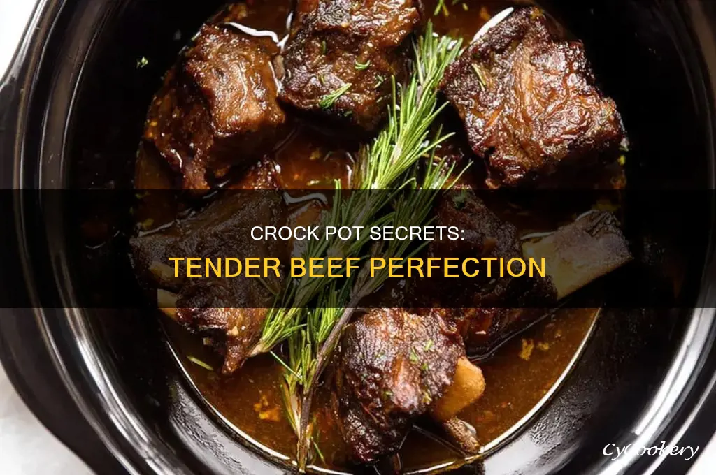 how to cook beef incrock pot to be very tendet