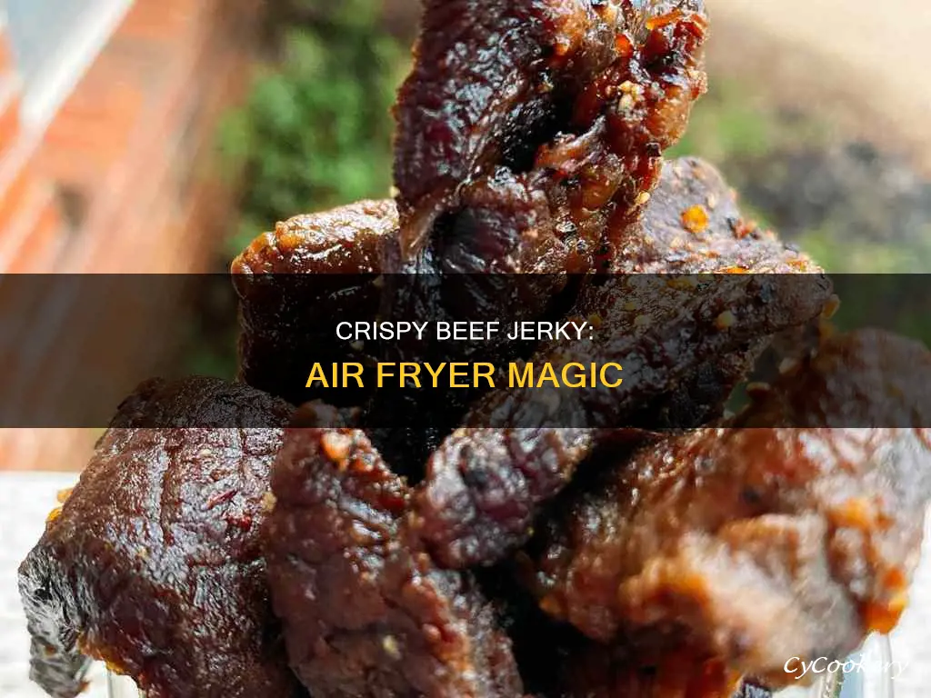 how to cook beef jerky in air fryer