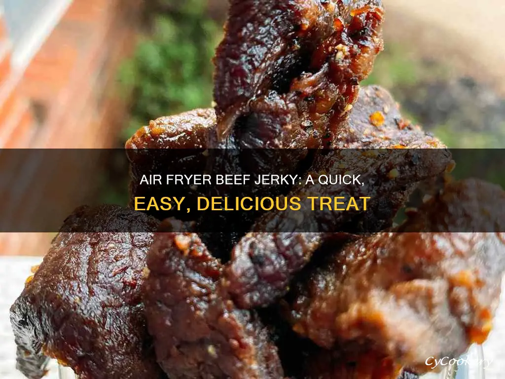 how to cook beef jerky in air fryer
