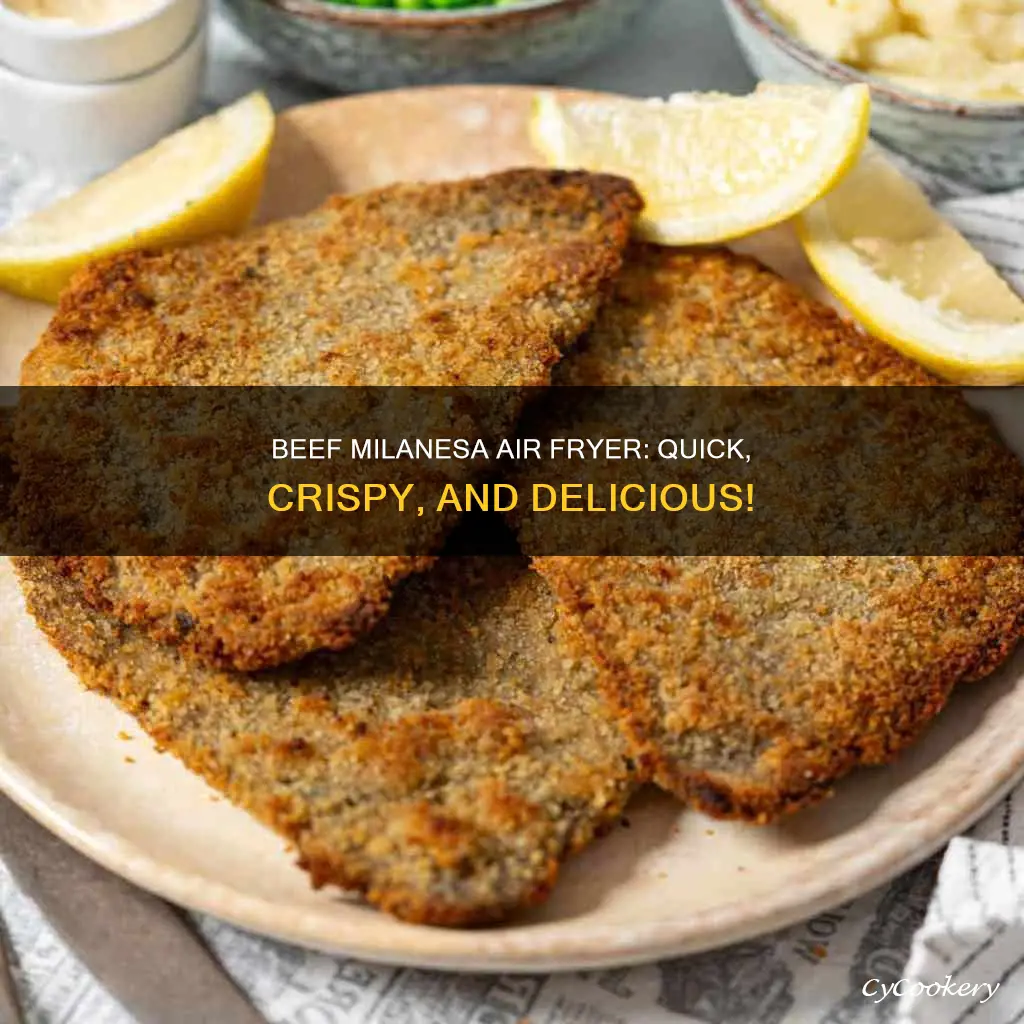 how to cook beef milanesa in air fryer