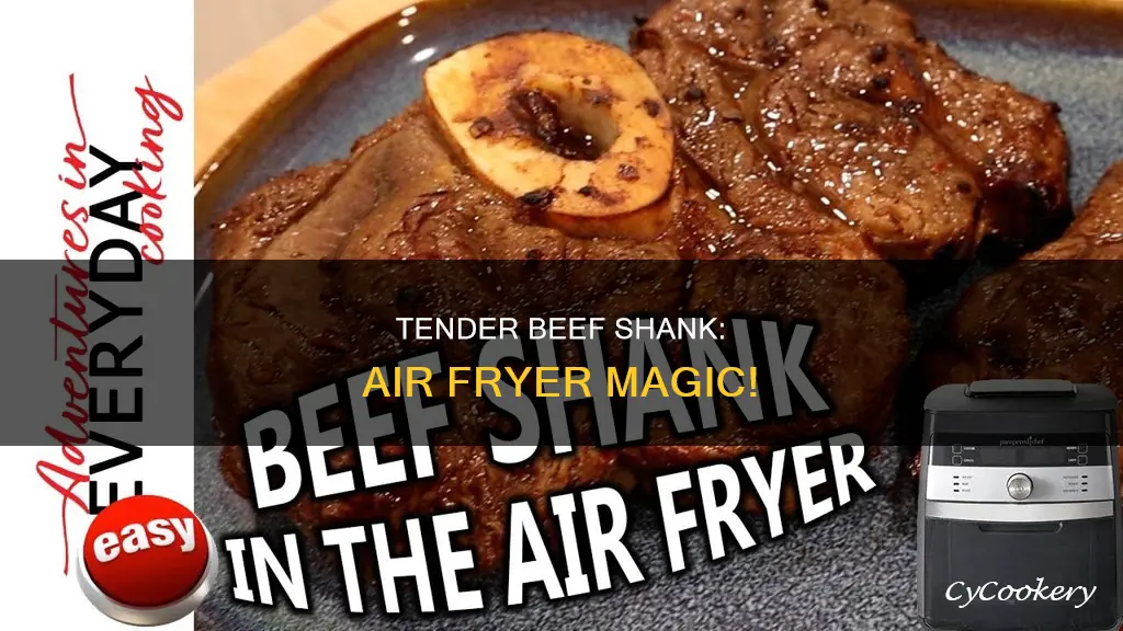 how to cook beef shank in air fryer