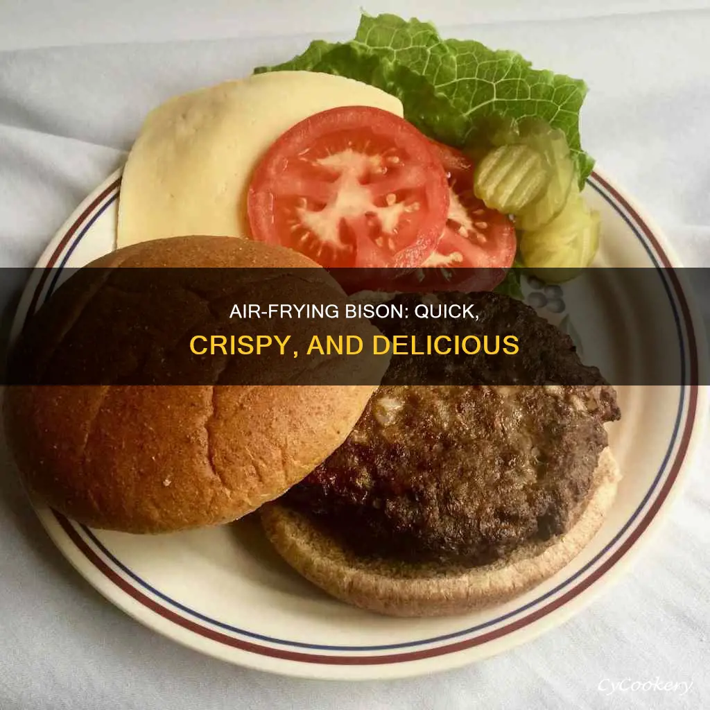 how to cook bison air fryer