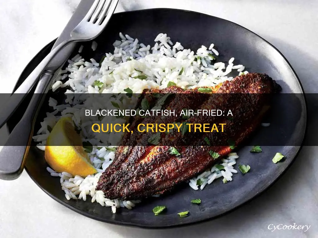 how to cook blackened catfish in air fryer