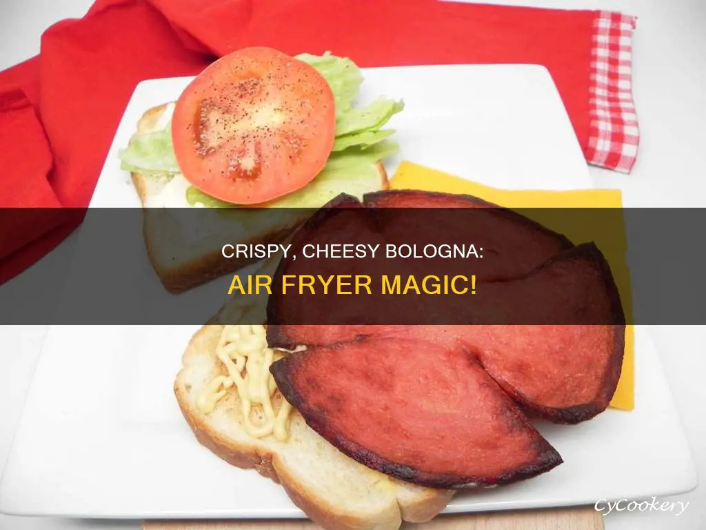 how to cook bologna in air fryer