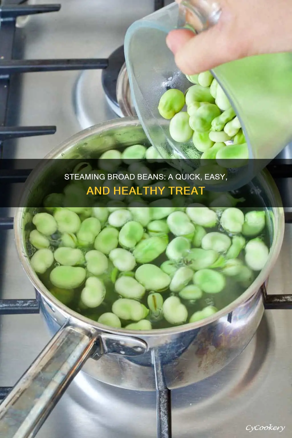 how to cook broad beans steam