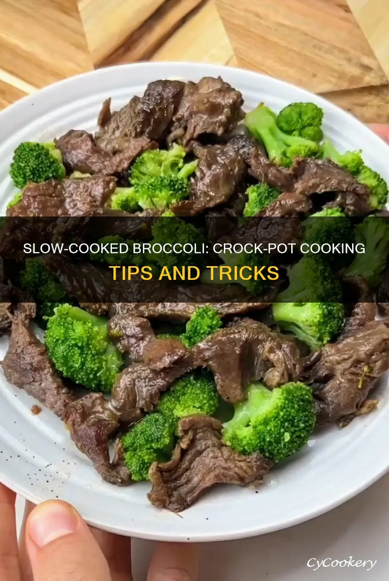 how to cook broccoli in a crock pot