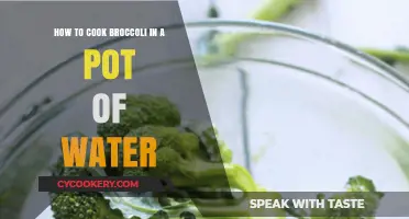 Steaming Broccoli: A Quick, Easy, and Healthy Cooking Method