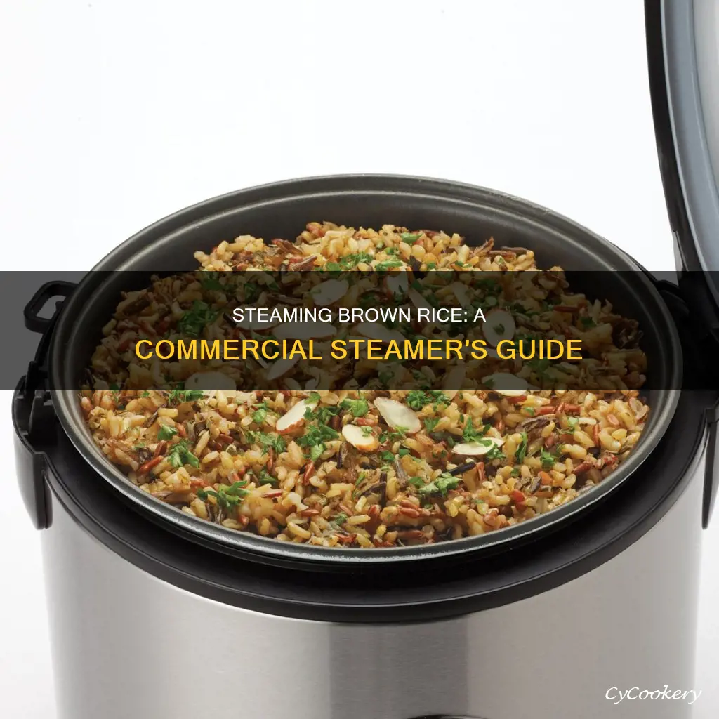 how to cook brown rice in a commercial steamer