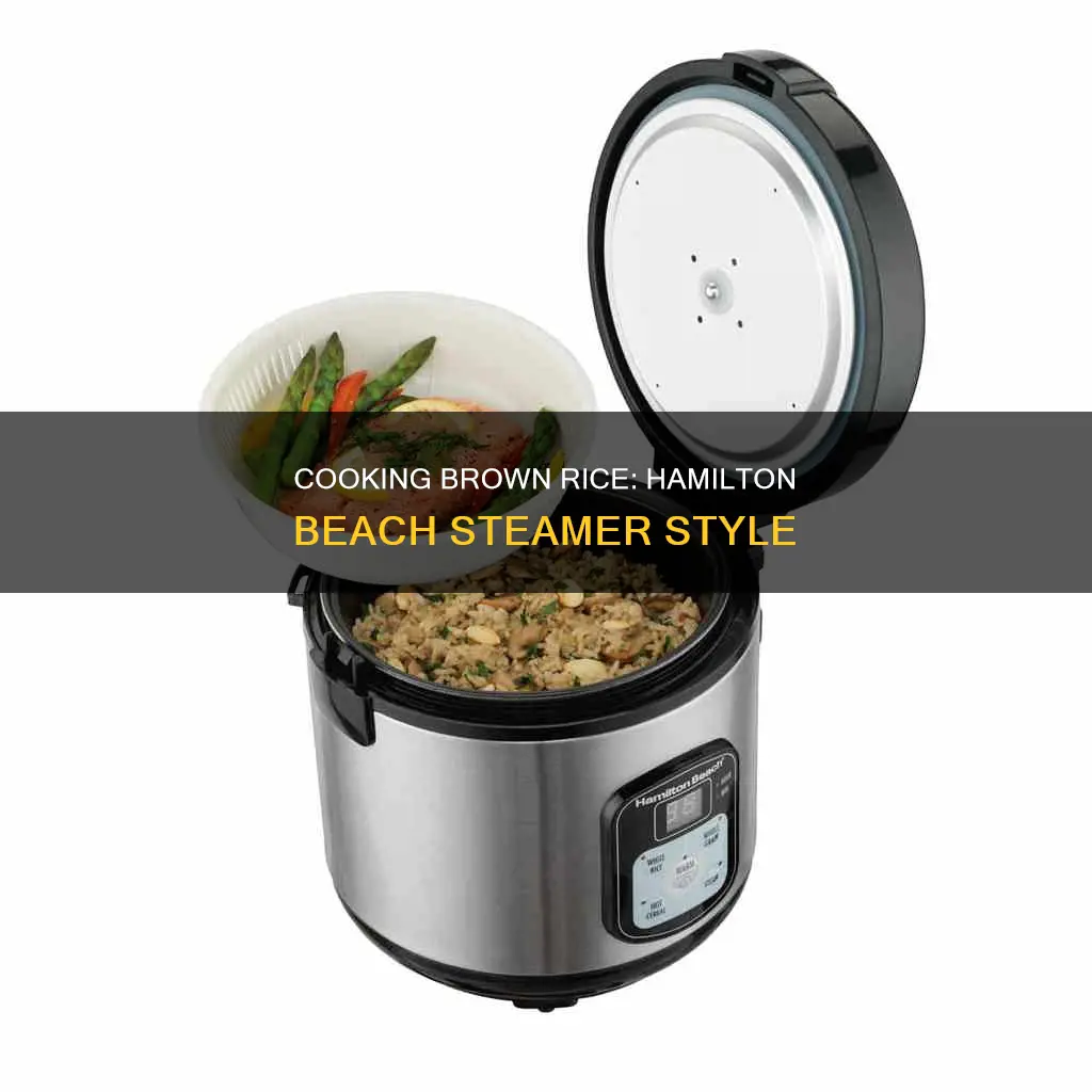 how to cook brown rice in a hamilton beach steamer