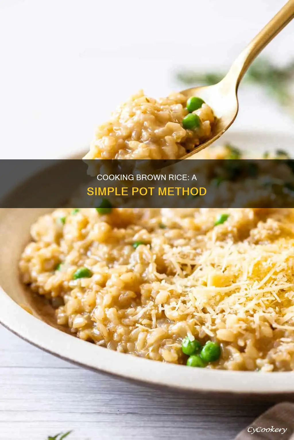 how to cook brown rice in a pot