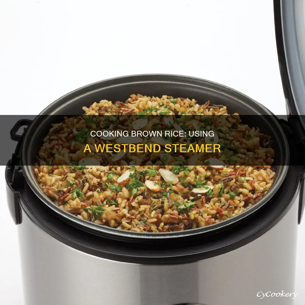 how to cook brown rice in a westbend rice steamer