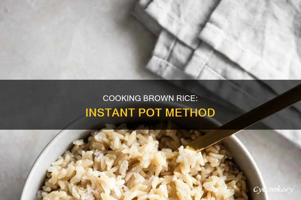 how to cook brown rice in an ibsta pot