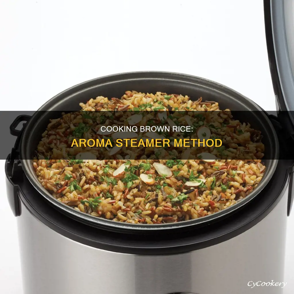 how to cook brown rice in aroma steamer