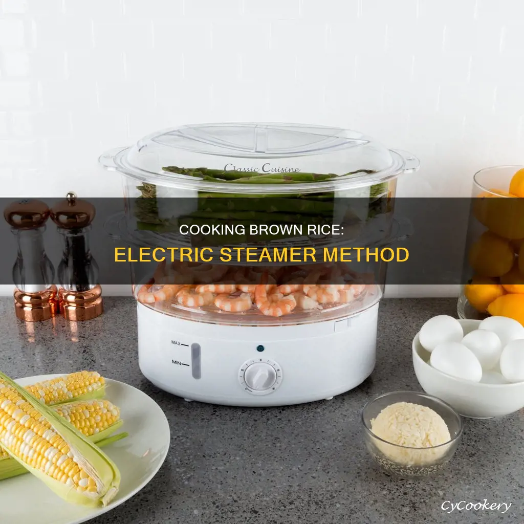 how to cook brown rice in electric steamer