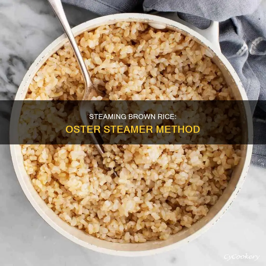 how to cook brown rice in oster steamer