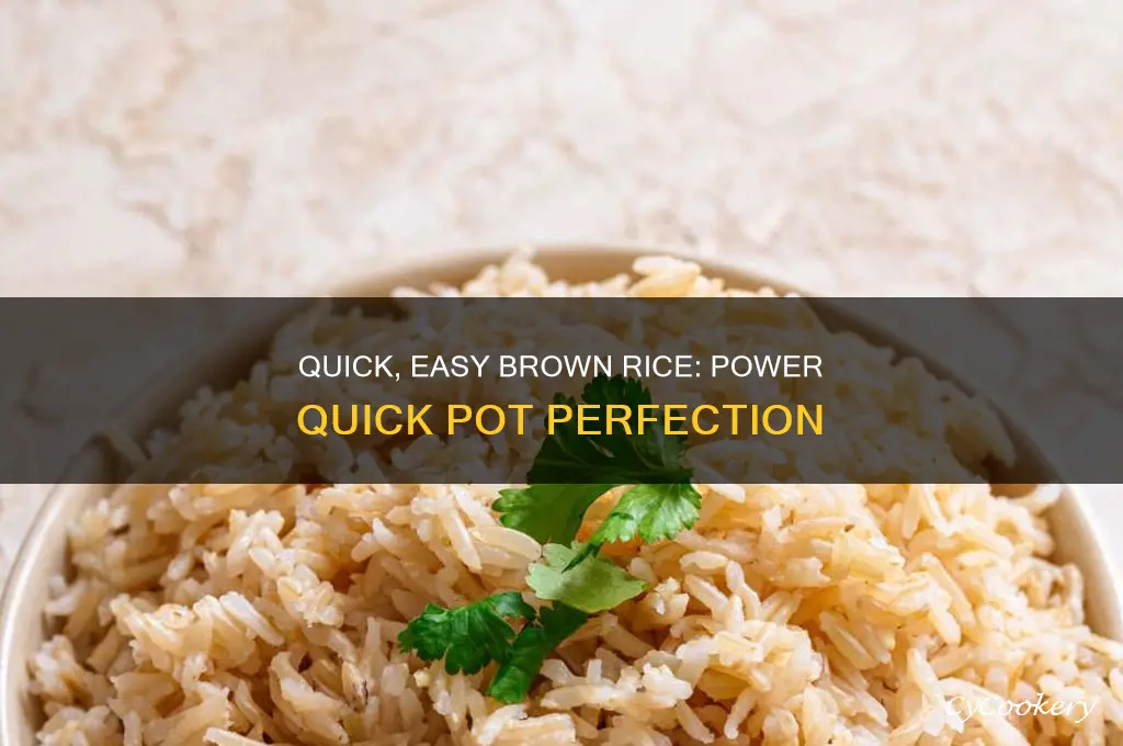 how to cook brown rice in power quick pot