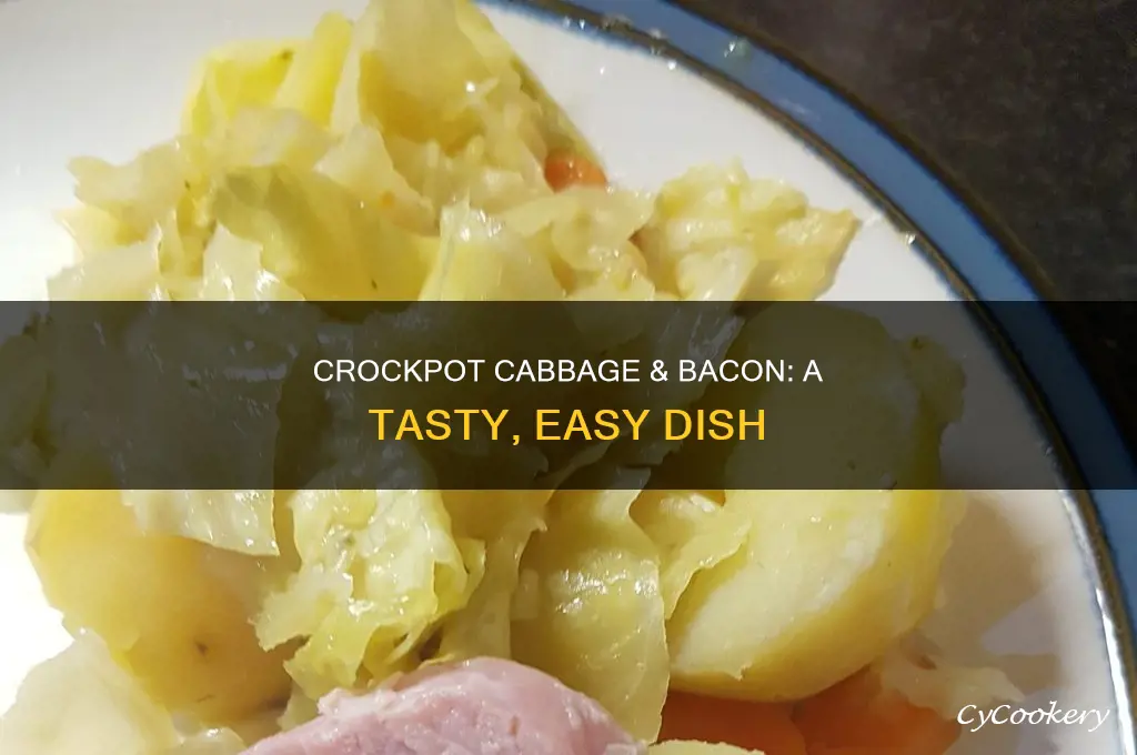 how to cook cabbage and bacon in a crock pot