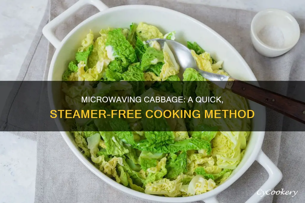 how to cook cabbage in microwave without steamer