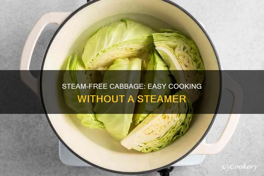 how to cook cabbage without a steamer