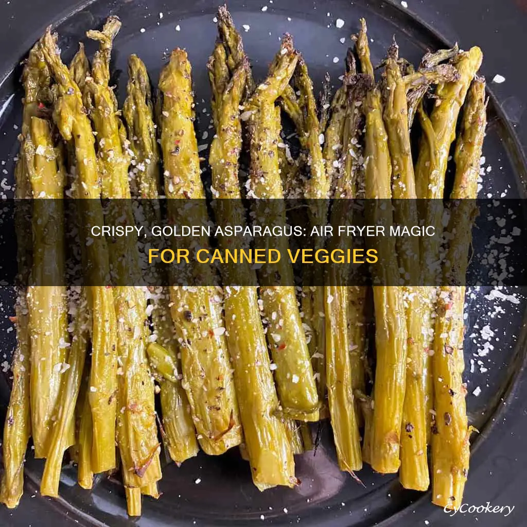 how to cook canned asparagus in air fryer