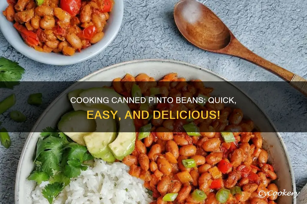 how to cook canned pinto beans in a pot