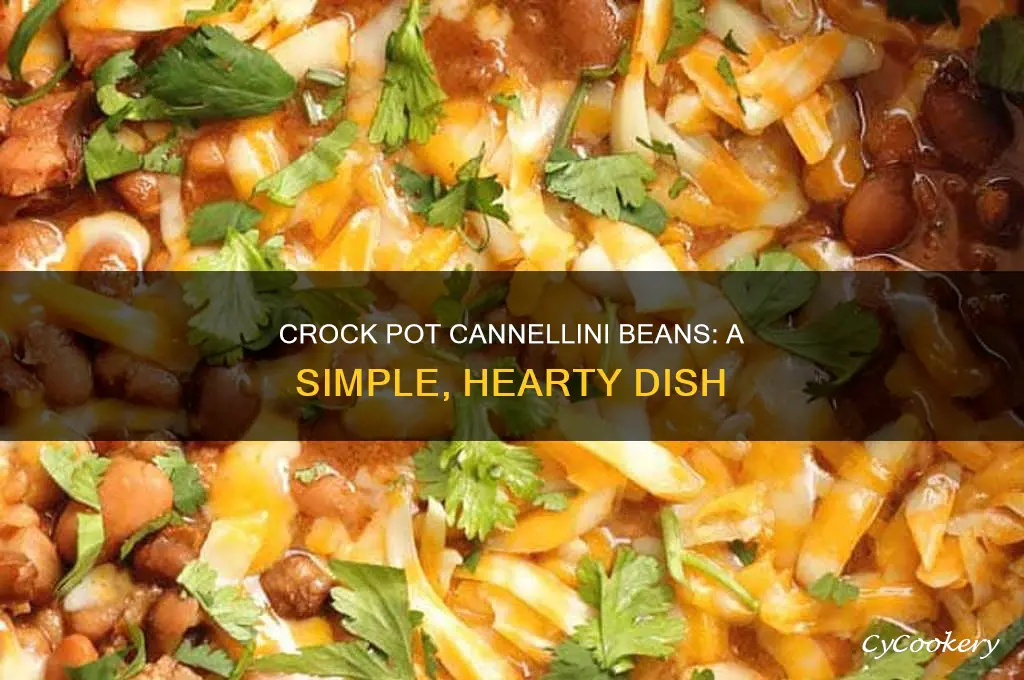 how to cook cannellini beans in crock pot